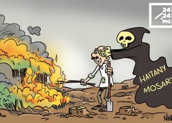LA DÉFORESTATION À MADAGASCAR, L&rsquo;INCOMPRÉHENSION