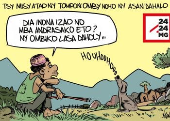 QUAND LES DAHALO ENLÈVENT LE TRAVAIL DU GARDIEN DE ZÉBUS
