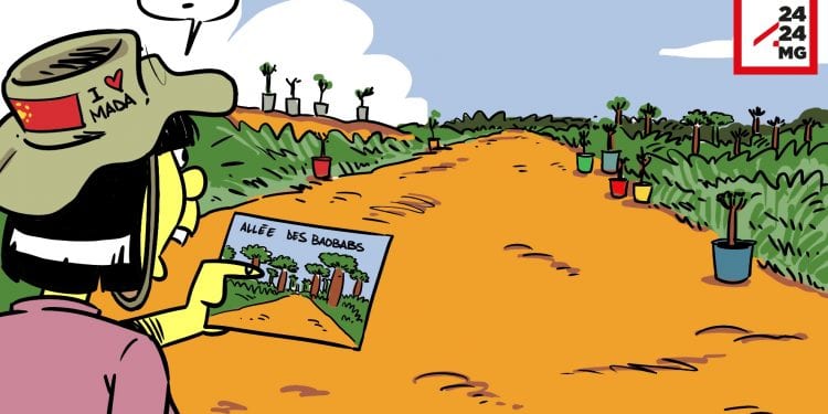 ALLÉE DES BAOBABS 2030