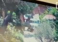 VIDÉO SURVEILLANCE KIDNAPPING SABIR MOLOU