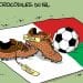 100% CROCODILES DU NIL DU SOUDAN