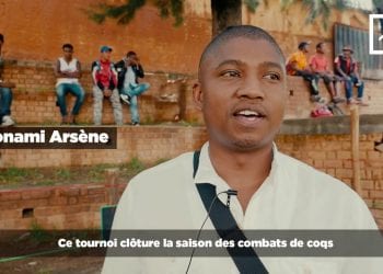 COMBAT DE COQS : Adin&rsquo;akoho lahy, passion, argent et compétition