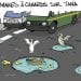 ROUTES À TANA : MARES À CANARDS