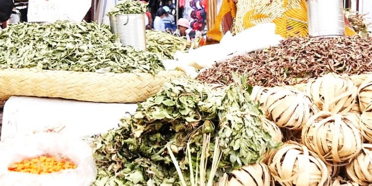 FAHASALAMANA : Mila fitandremana ny fisotroana mangidy