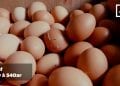 INDICE DES PPN DU MOIS D’AVRIL