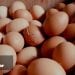 INDICE DES PPN DU MOIS D&rsquo;AVRIL