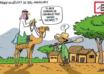 PRINCE DU DÉSERT DE BAS-MANGOKY