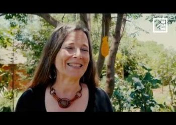 LA PERMACULTURE : PLUS QU&rsquo;UNE AGRICULTURE, UNE FAÇON DE PENSER