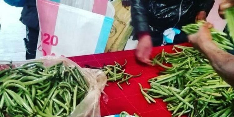 COMMERCE – Le prix de départ de la vanille verte fixé à 40000 ariary à Mahanoro