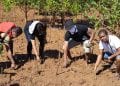 ENVIRONNEMENT – Reforestation de 5000 ha de mangrove à la prochaine campagne de reboisement