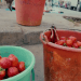 AGRICULTURE ET COMMERCE – Amertume chez les paysans-vendeurs de fraise
