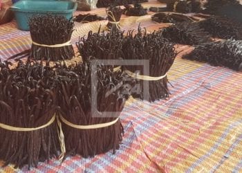 COMMERCE – Andry Rajoelina justifie la baisse du prix de la vanille par le coronavirus