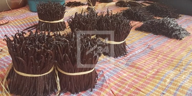 COMMERCE – Andry Rajoelina justifie la baisse du prix de la vanille par le coronavirus