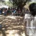 ENVIRONNEMENT – Mobilisation des « olobe » et des chefs de fokontany pour protéger le parc d&rsquo;Ankarafantsika