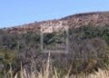ENVIRONNEMENT- Le parc national d’Ankarafantsika épargné par les feux depuis juin selon le ministère de l’Environnement et du développement durable