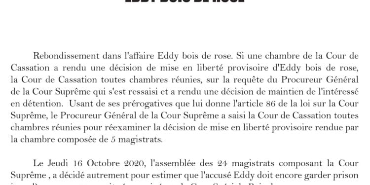 JUSTICE – Le dossier Eddy Maminirina renvoyé devant la Cour spéciale de lutte contre les trafics de bois de rose