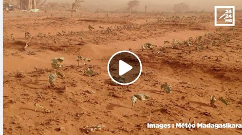 METEO – Une chasse-sable n’est pas une tempête de sable