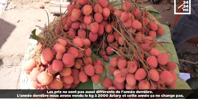 COMMERCE – Démarrage timide de la saison des litchis dans la capitale