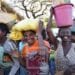 INSECURITE ALIMENTAIRE – Six tonnes de maïs concassés pour 1200 familles d&rsquo;Antanimora dans le district d&rsquo;Ambovombe