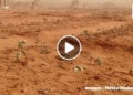 REGION ANDROY – Tioka Mena ou le vent qui chasse le sable et qui laisse des dégâts environnementaux et sanitaires