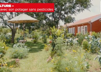 AGRICULTURE – Produire avec son potager sans pesticides