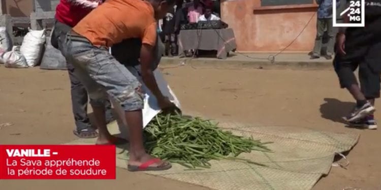 VANILLE – La Sava appréhende la période de soudure