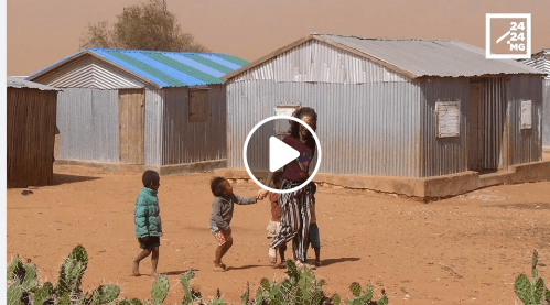 INSECURITE ALIMENTAIRE – Une lutte sans frontière avec l’ONG brésilienne Fraternidad sem fronteiras
