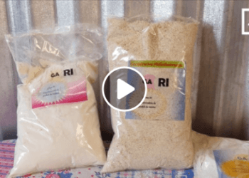 ALIMENTATION – Le gari pour faire face aux périodes de soudure et de famine