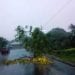 CYCLONE – La JIRAMA suspend l’alimentation en électricité à Antalaha à cause du passage d’Eloïse
