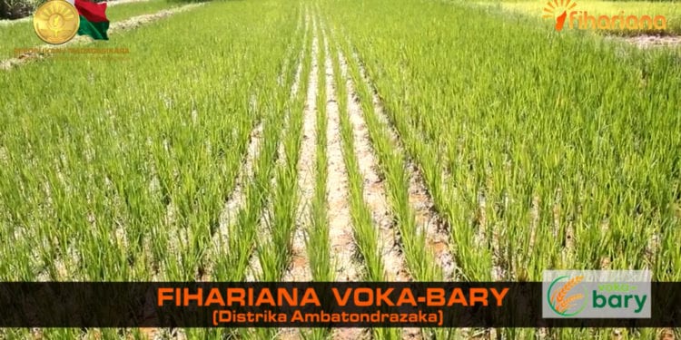 La minute Fihariana – Fihariana Voka-bary