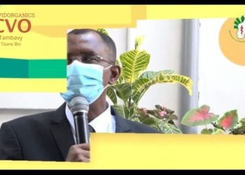 REMEDE TRADITIONNEL – Le ministère de la Santé publique démarre sa campagne de sensibilisation à la prise du CVO et du CVO Plus