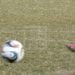 FOOTBALL – Plus de 170 inscrits au tournoi de détection des futurs sociétaires de la Barea Académie