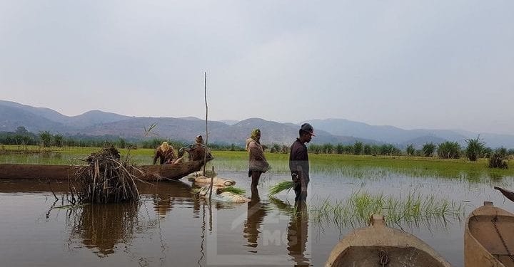 ENVIRONNEMENT – 17 points d&rsquo;eau sur 33 tarissent à Ambatondrazaka et ses environs, selon la ministre de l&rsquo;Environnement et du développement durable