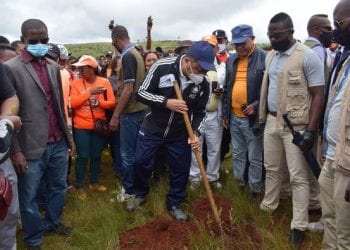 MANIFESTATION – Des formations politiques soutenant Andry Rajoelina en « reboisement » à Talata Volonondry
