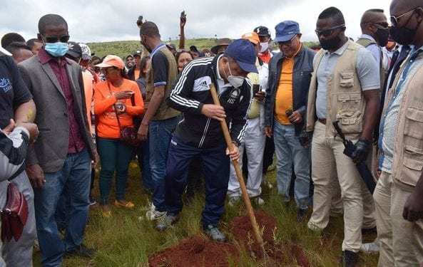 MANIFESTATION – Des formations politiques soutenant Andry Rajoelina en « reboisement » à Talata Volonondry