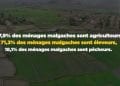 RECENSEMENT – 83,2% des ménages malgaches travaillent dans le secteur agricole