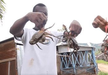 RESSOURCES HALIEUTIQUES – Le garigary pour pêcher de façon durable