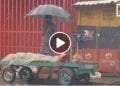 PETIT METIER – Etre marchand en calèche d’Anosibe à Namontana