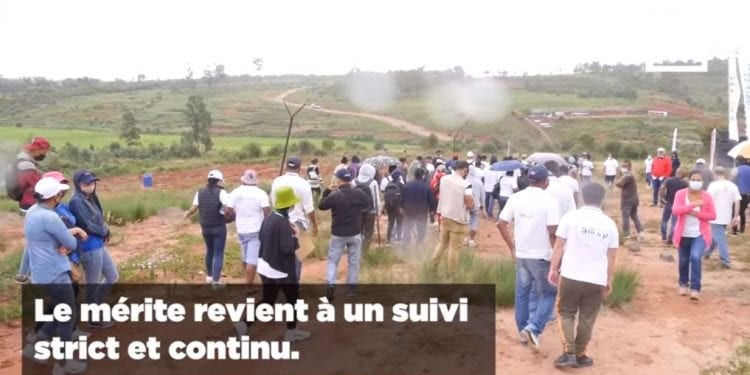 REFORESTATION – Du reboisement utile pour contribuer au reverdissement de Madagascar