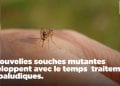 SANTE PUBLIQUE – La lutte acharnée de Madagascar contre le paludisme