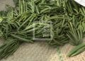 VANILLE – Le kilo de la vanille verte autour de 45 000 ariary à Ambanja
