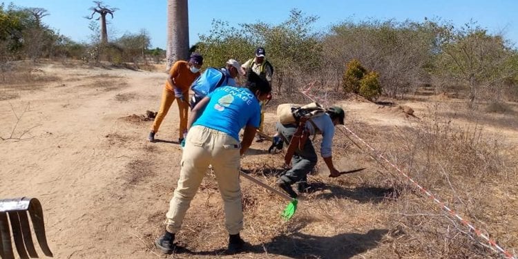 CONSERVATION – La ministre de l’Environnement et du développement durable dénonce des actes malveillants contre les agents affectés à la préservation de l’aire protégée Menabe Antimena