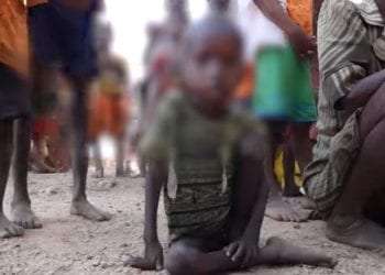 LUTTE CONTRE LA MALNUTRITION CHRONIQUE – Le professeur Hanta Marie Danielle Vololontiana plaide pour un changement des habitudes alimentaires