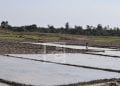 CLIMAT – Le service régional de météorologie d&rsquo;Alaotra Mangoro appelle à une bonne gestion de l&rsquo;eau pour prévenir l&rsquo;insuffisance de pluies prévue en Février dans la région