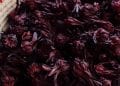NUTRITION – L’hibiscus, la fleur aux grandes vertus