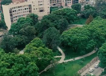 URBANISME – Le jardin botanique d’Ambohijatovo, un havre de verdure au cœur de la capitale
