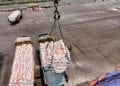 CONSOMMATION – Le 14ème bateau de produits de première nécessité promis par le président de la République en cours de chargement dans le port indien de Khrisna Patnam, les autorités insistent sur l’existence de stock de riz suffisant à Madagascar