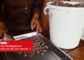 AGRICULTURE – « Le cacao de Madagascar renferme l’histoire de son terroir »