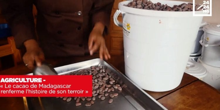 AGRICULTURE – « Le cacao de Madagascar renferme l’histoire de son terroir »
