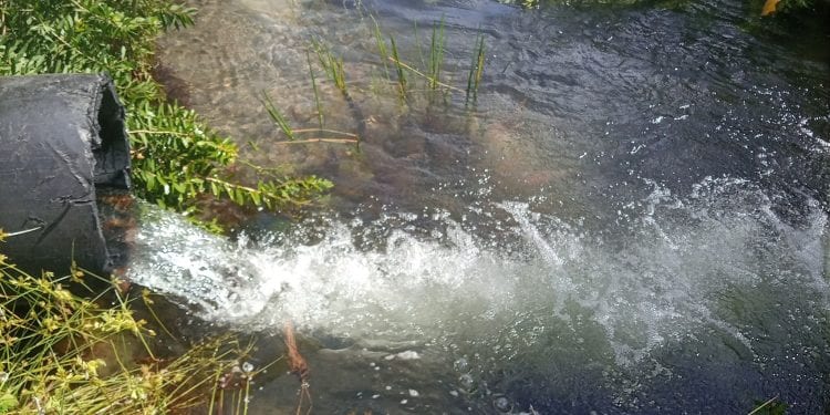 ENVIRONNEMENT – Les autorités annoncent la construction d’un laboratoire à Tolagnaro pour analyser rapidement la qualité des eaux dans la localité après l’affaire des poissons morts dans les eaux d’Andrakaraka